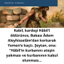 Sarı Modern Bilim Haber Manşeti Instagram Gönderisi (94)
