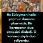Hz Süleyman halkı yağmur duasına çıkarmıştı. Bir karıncanın dua etmesini dinledi. O karınca şöyle dua ediyordu: