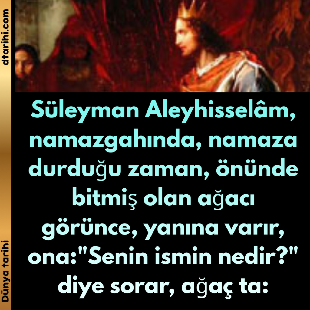Süleyman Aleyhisselâm, namazgahında, namaza durduğu zaman, önünde bitmiş olan ağacı görünce, yanına varır, ona: “Senin ismin nedir?” diye sorar, ağaç ta:
