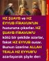 HZ ŞUAYB ve HZ EYYUB FİRAVUN’UN huzuruna çıkarlar. HZ ŞUAYB FİRAVUN’U kötü bir şekilde azarlar, fakat HZ EYYUB susar. Bunun üzerine ALLAH TEALA HZ EYYUB’U azarlayarak şöyle der: