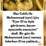 Ebu Cehil; Hz Muhammed (sav) için; “Eğer O’nu öyle görürsem, başını ayağımla ezeceğim” dedi. Bir gün Hz Muhammed (sav) namaz kılarken O’na yaklaştı…