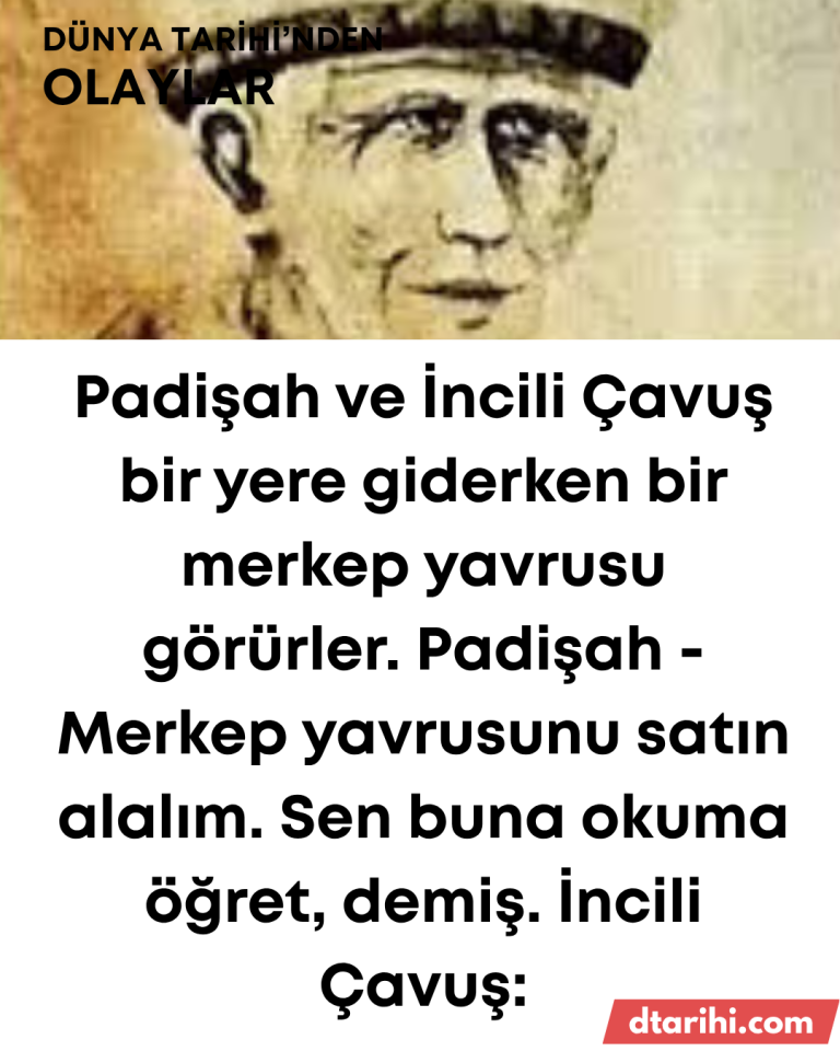 Padişah ve İncili Çavuş bir yere giderken bir merkep yavrusu görürler. Padişah – Merkep yavrusunu satın alalım. Sen buna okuma öğret, demiş. İncili Çavuş: