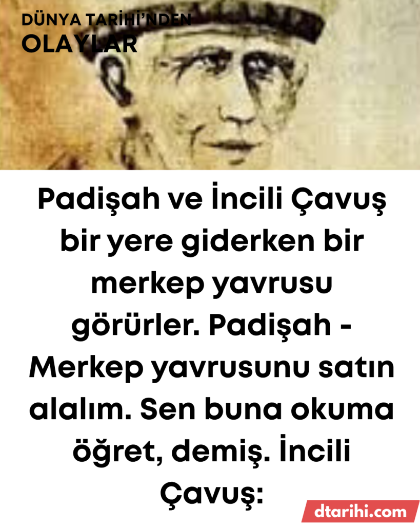 Padişah ve İncili Çavuş bir yere giderken bir merkep yavrusu görürler. Padişah – Merkep yavrusunu satın alalım. Sen buna okuma öğret, demiş. İncili Çavuş: