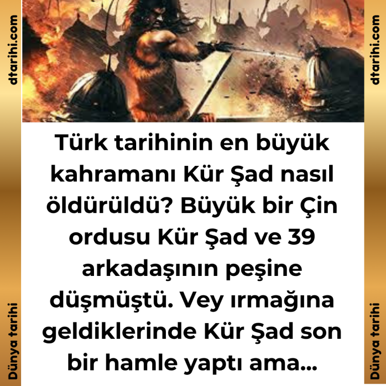 Türk tarihinin en büyük kahramanı Kür Şad nasıl öldürüldü? Büyük bir Çin ordusu Kür Şad ve 39 arkadaşının peşine düşmüştü. Vey ırmağına geldiklerinde Kür Şad son bir hamle yaptı ama…