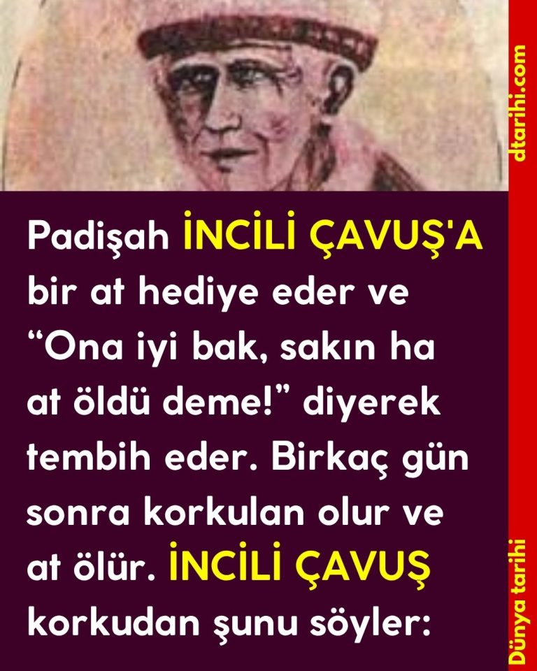 Padişah İNCİLİ ÇAVUŞ’A bir at hediye eder ve “Ona iyi bak, sakın ha at öldü deme!” diyerek tembih eder. Birkaç gün sonra korkulan olur ve at ölür. İNCİLİ ÇAVUŞ korkudan şunu söyler: