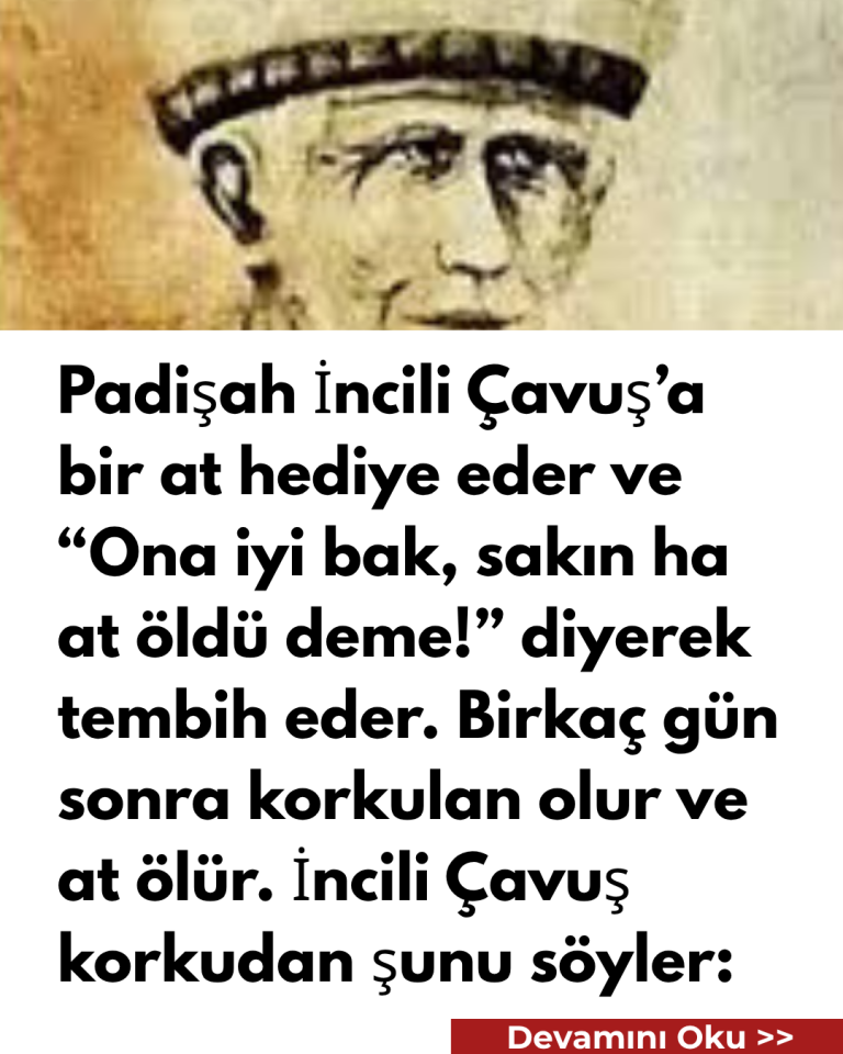 Padişah İncili Çavuş’a bir at hediye eder ve “Ona iyi bak, sakın ha at öldü deme!” diyerek tembih eder. Birkaç gün sonra korkulan olur ve at ölür. İncili Çavuş korkudan şunu söyler: