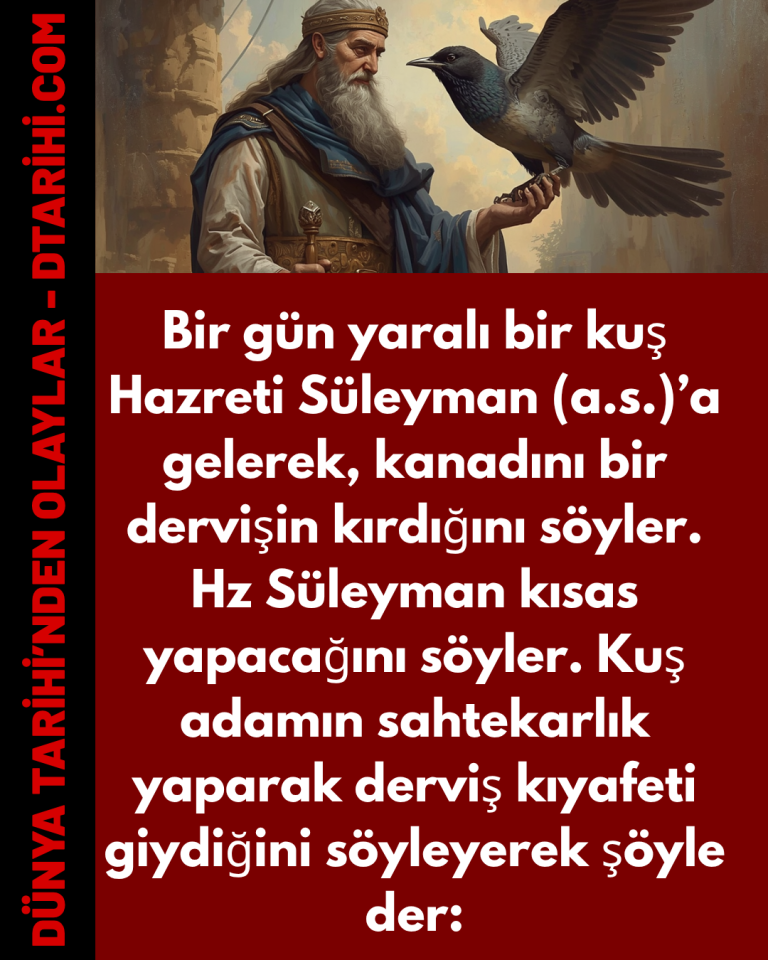 Bir gün yaralı bir kuş Hazreti Süleyman (a.s.)’a gelerek, kanadını bir dervişin kırdığını söyler. Hz Süleyman kısas yapacağını söyler. Kuş adamın sahtekarlık yaparak derviş kıyafeti giydiğini söyleyerek şöyle der: