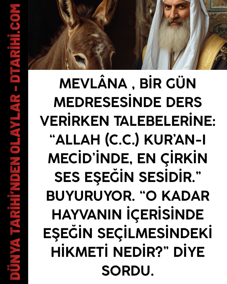 Mevlâna , bir gün medresesinde ders verirken talebelerine: “Allah (c.c.) Kur’an-ı Mecid’inde, en çirkin ses eşeğin sesidir.” buyuruyor. “O kadar hayvanın içerisinde eşeğin seçilmesindeki hikmeti nedir?” diye sordu.