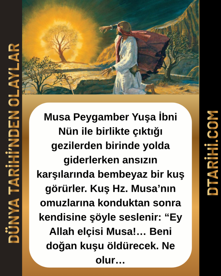 Musa Peygamber Yuşa İbni Nün ile birlikte çıktığı gezilerden birinde yolda giderlerken ansızın karşılarında bembeyaz bir kuş görürler. Kuş Hz. Musa’nın omuzlarına konduktan sonra kendisine şöyle seslenir: “Ey Allah elçisi Musa!… Beni doğan kuşu öldürecek. Ne olur…