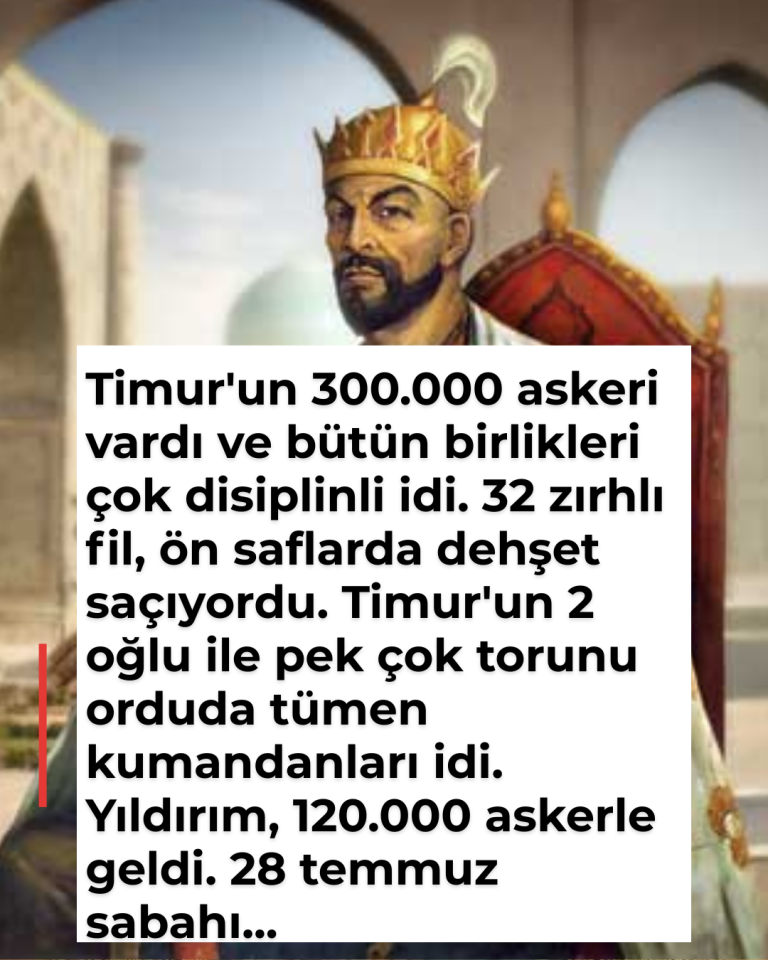 Timur’un 300.000 askeri vardı ve bütün birlikleri çok disiplinli idi. 32 zırhlı fil, ön saflarda dehşet saçıyordu. Timur’un 2 oğlu ile pek çok torunu orduda tümen kumandanları idi. Yıldırım, 120.000 askerle geldi. 28 temmuz sabahı…