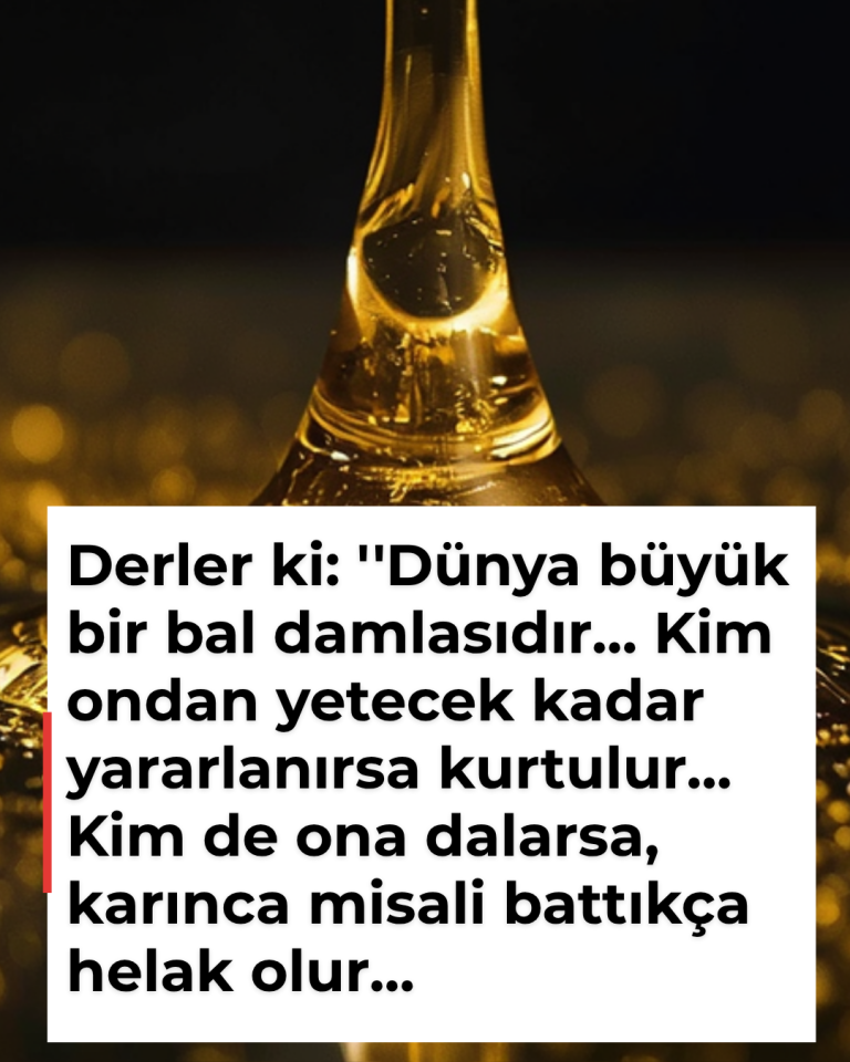 Derler ki: ”Dünya büyük bir bal damlasıdır… Kim ondan yetecek kadar yararlanırsa kurtulur… Kim de ona dalarsa, karınca misali battıkça helak olur…