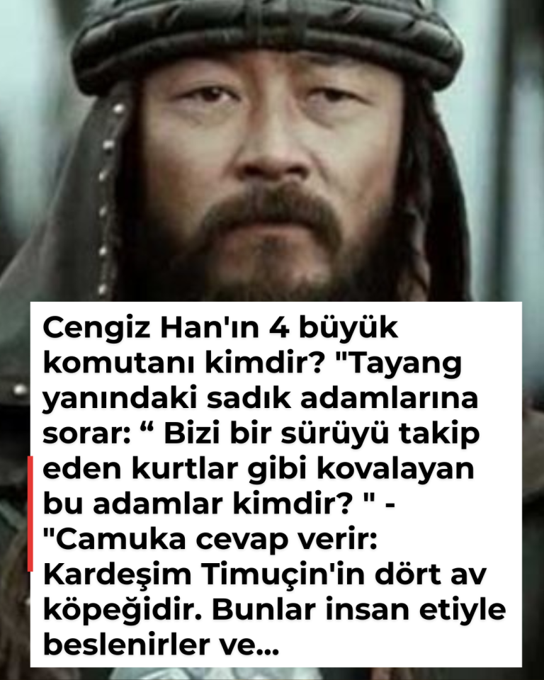 Cengiz Han’ın 4 büyük komutanı kimdir? “Tayang yanındaki sadık adamlarına sorar: “ Bizi bir sürüyü takip eden kurtlar gibi kovalayan bu adamlar kimdir? ” – “Camuka cevap verir: Kardeşim Timuçin’in dört av köpeğidir. Bunlar insan etiyle beslenirler ve…