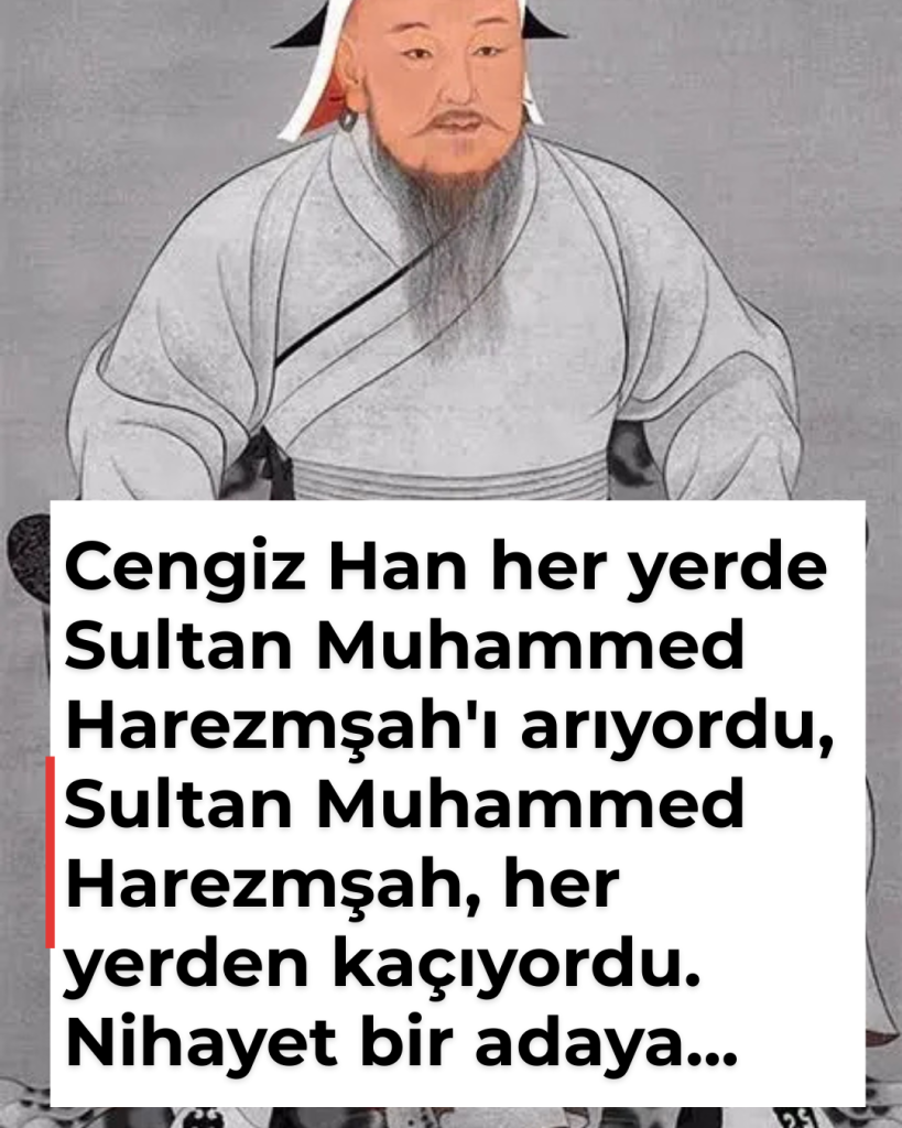 Cengiz Han her yerde Sultan Muhammed Harezmşah’ı arıyordu, Sultan Muhammed Harezmşah, her yerden kaçıyordu. Nihayet bir adaya…