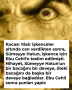 Kocası Yâsir işkenceler altında can verdikten sonra, Sümeyye Hatun, işkence için Ebu Cehil’e teslim edilmişti. Nihayet, Sümeyye Hatun’un bir bacağını bir deveye, öteki bacağını da başka bir deveye bağladılar. Ebu Cehil sonra şunları yaptı: