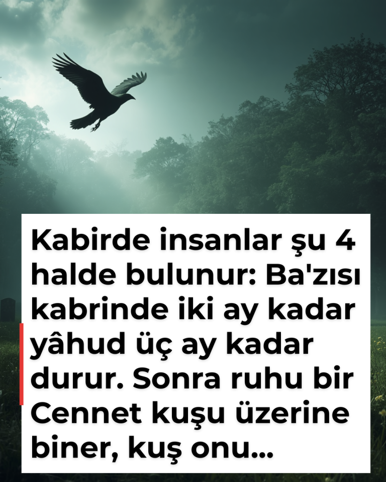 Kabirde insanlar şu 4 halde bulunur: Ba’zısı kabrinde iki ay kadar yâhud üç ay kadar durur. Sonra ruhu bir Cennet kuşu üzerine biner, kuş onu…