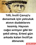 Tıfli, İncili Çavuş’u denemek için yolculuk atının dudaklarını kesmiş. Hayvancağız sırıtıyor gibi bir şekil almış. Ertesi gün arkada kalan İncili’ye dönerek: